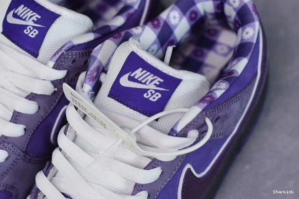 Purple Nike Lobster Dunk BV1310-555 Low SB Concepts 1231